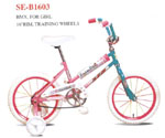 mini bike   mini bicycle
